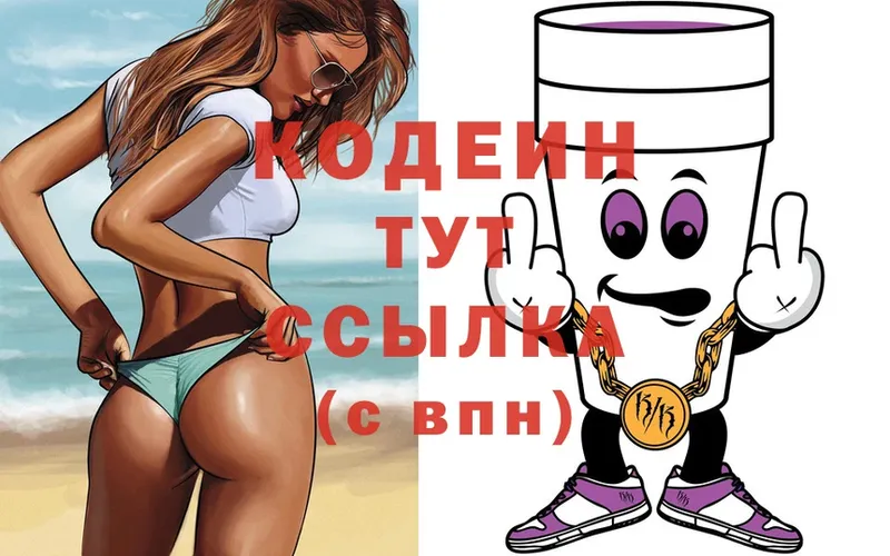 мега маркетплейс  Петровск-Забайкальский  Codein Purple Drank  где купить наркотик 